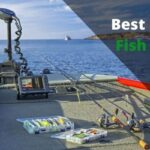 Best Budget Fish Finder